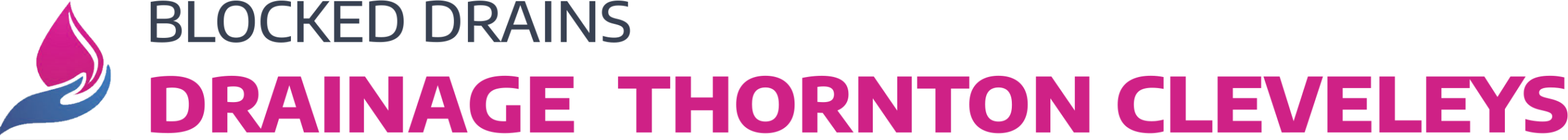 website logo